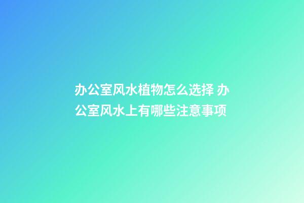 办公室风水植物怎么选择 办公室风水上有哪些注意事项